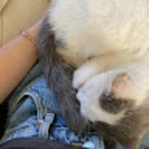 Meet your Posher, Melina